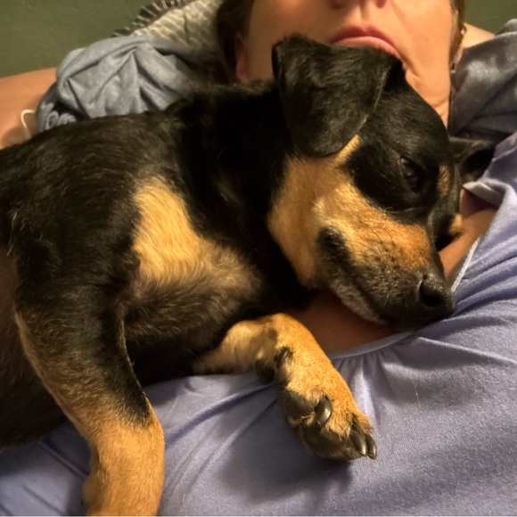 Meet your Posher, Michele - Picture 10 of 16